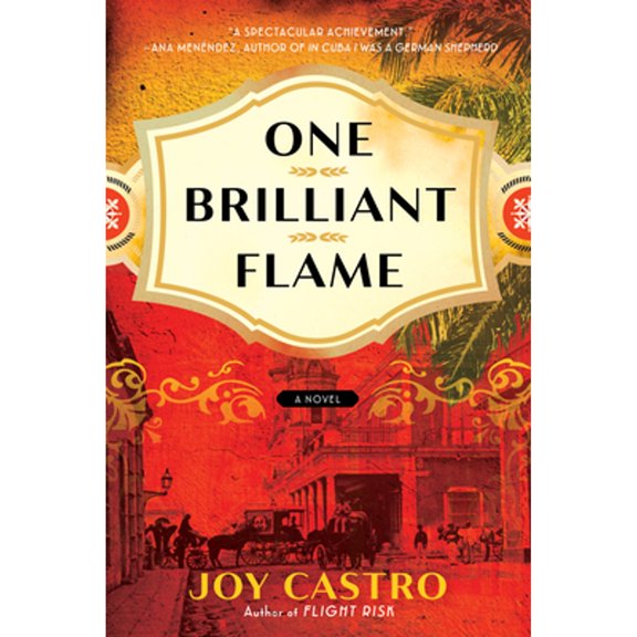 Pre-Owned One Brilliant Flame: A Novel Paperback