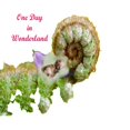 thumbnail image 1 of One Day In Wonderland: Magic of advanture in wonderland.Colorful Nature., (Paperback), 1 of 1