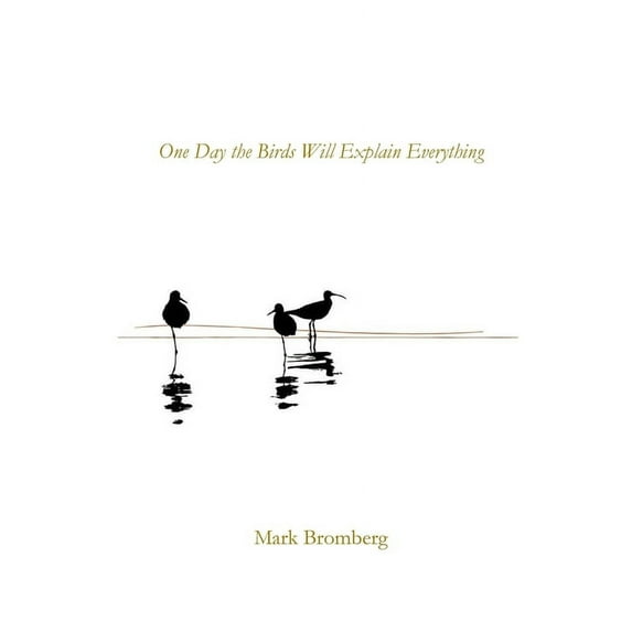 One Day the Birds Will Explain Everything, (Paperback)