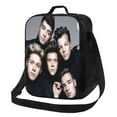 thumbnail image 1 of One Direction Lunch Bag Insulated Durable Lunch Box with Adjustable Shoulder Strap Portable Lunch Bag for Picnic/Beach/Hiking/ Work. 10.5 x 8 x 4.5 inch, 1 of 3