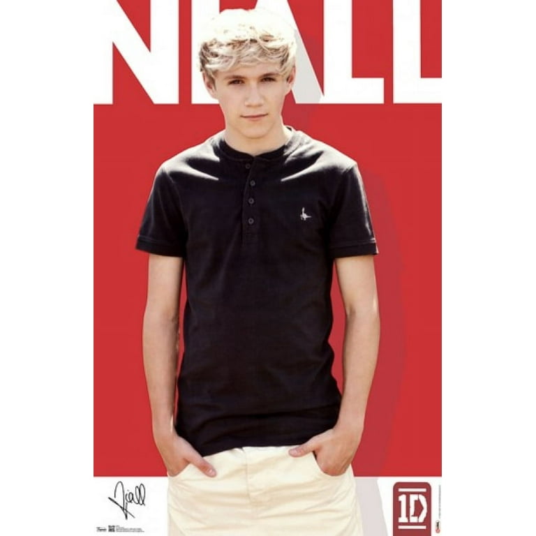 everywhere by niall horan  Movie poster wall, One direction posters, Music  poster