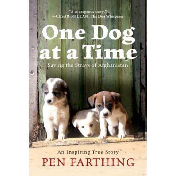 Pre-Owned One Dog at a Time: Saving the Strays of Afghanistan (Paperback) 1250001951 9781250001955