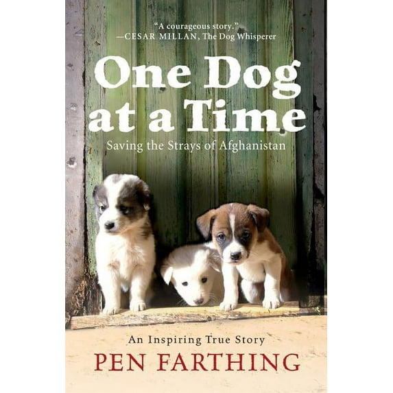 One Dog at a Time : Saving the Strays of Afghanistan (Paperback)