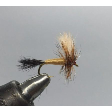 One Dozen (12) - Ausable Wulff - Dry Fly
