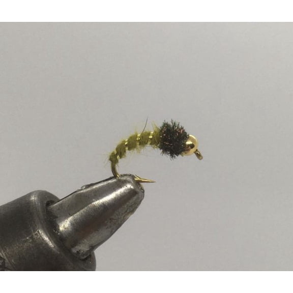 One Dozen (12) - Beadhead Caddis Larva - Olive - Nymph