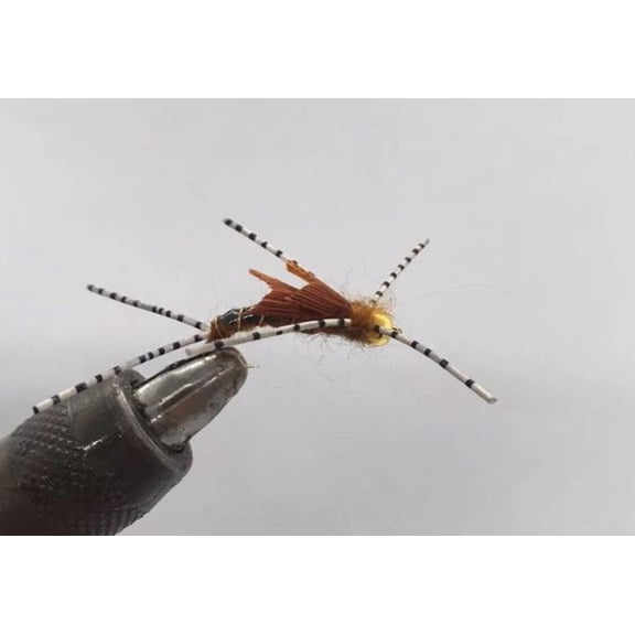 One Dozen (12) - Beadhead Sparkle Stonefly - Brown - Nymph