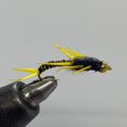 thumbnail image 1 of One Dozen (12) - Beadhead Wired Stonefly - Gold/Black, 1 of 1