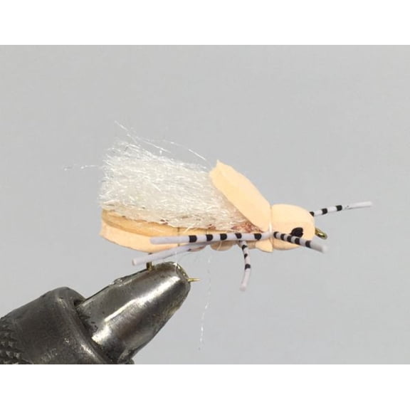 One Dozen (12) - Clod Hopper - Peach - Terrestrial