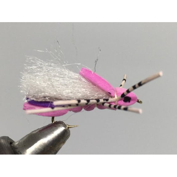 One Dozen (12) - Clod Hopper - Pink - Terrestrial