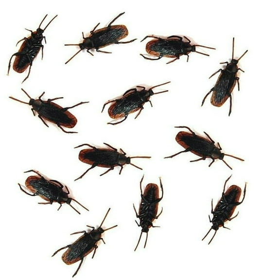 (One Dozen 12)- Fake Roaches High Quality Prank Novelty Cockroach Bugs Look Realistic (BONUS 1 FUN CHOPS)