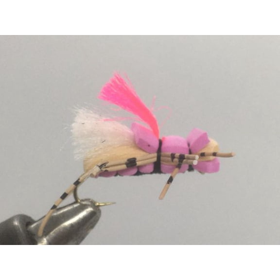 One Dozen (12) - Fat Albert - Tan and Pink - Terrestrial