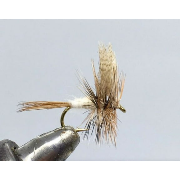 One Dozen (12) - Grey Fox - Dun - Dry Fly