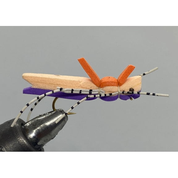 One Dozen (12) - Morrish Hopper - Purple - Terrestrial