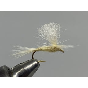One Dozen (12) - Parachute Light Cahill - Dry Fly