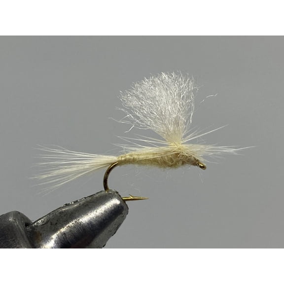 One Dozen (12) - Parachute Light Cahill - Dry Fly