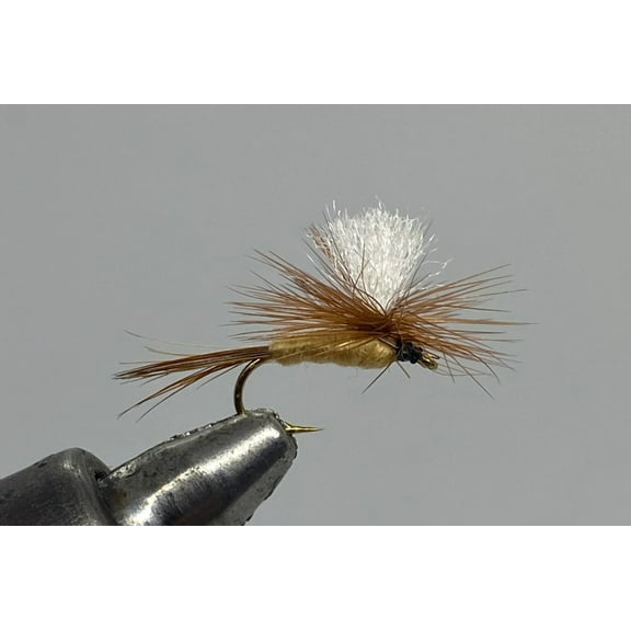 One Dozen (12) - Parachute Light Hendrickson - Dry Fly
