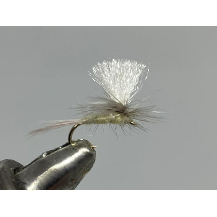 One Dozen (12) - Parachute PMD - Dry Fly