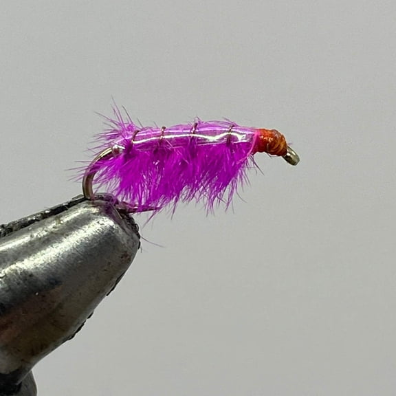 One Dozen (12) - Ray Charles - Pink - Nymph