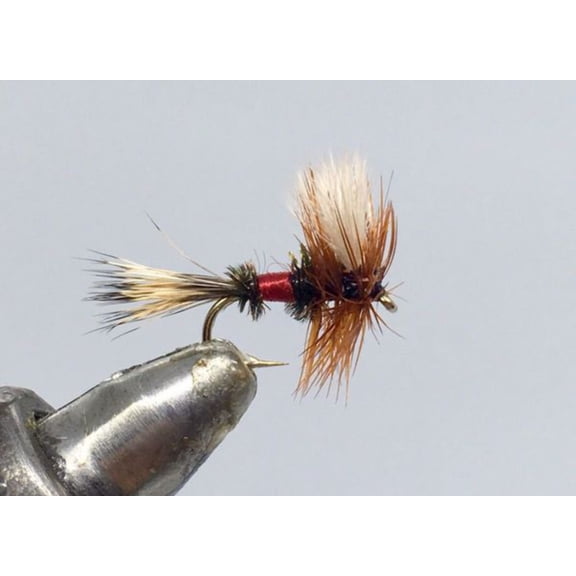One Dozen (12) - Royal Wulff - Dry Fly