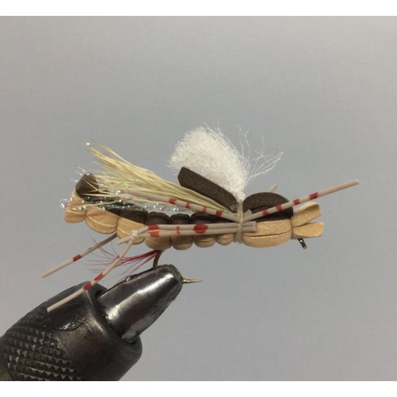 One Dozen (12) - Sandwich Hopper - Tan - Terrestrial