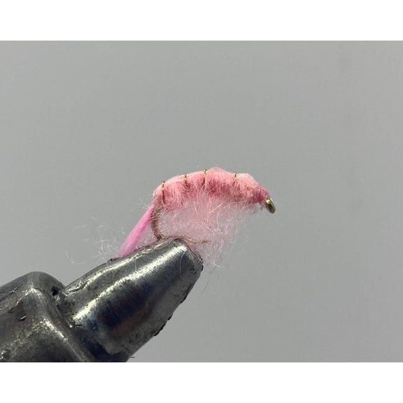 One Dozen (12) - Scud - Pink - Nymph