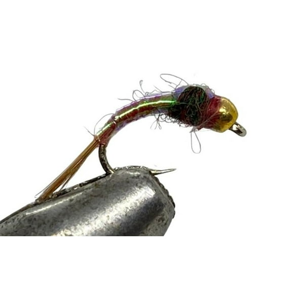 One Dozen (12) - Tungsten Beadhead Rainbow Warrior - Nymph