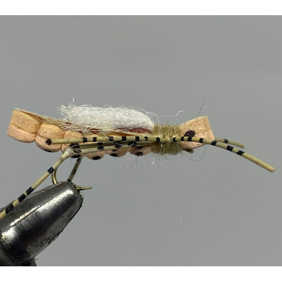 One Dozen (12) - White Cloud Hopper - Light Peach - Terrestrial