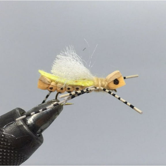 One Dozen (12) - White Cloud Hopper - Peach - Terrestrial