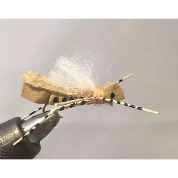 One Dozen (12) - White Cloud Hopper - Tan - Terrestrial