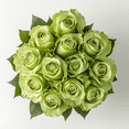 thumbnail image 1 of One Dozen Green Roses- Fresh Flower Delivery, 1 of 5