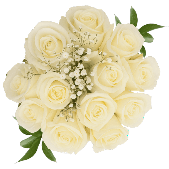 One Dozen Ivory Roses with Baby's breath and Green- Fresh Flower Delivery