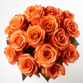 thumbnail image 1 of One Dozen Orange Roses- Fresh Flower Delivery, 1 of 4