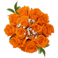 thumbnail image 1 of One Dozen Orange Roses with Baby's breath and Green- Fresh Flower Delivery, 1 of 4