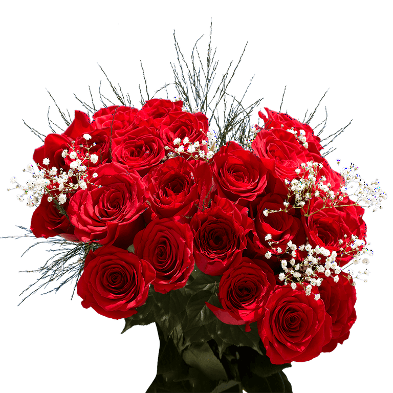 One Dozen Red Roses with Baby s breath and Green Fresh Flower Delivery