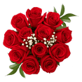 thumbnail image 1 of One Dozen Red Roses with Baby's breath and Green- Fresh Flower Delivery, 1 of 6