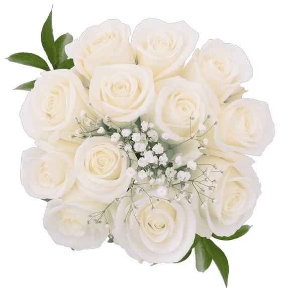 One Dozen White Roses with Baby's breath and Green- Fresh Flower Delivery