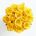 thumbnail image 1 of One Dozen Yellow Roses- Fresh Flower Delivery, 1 of 5