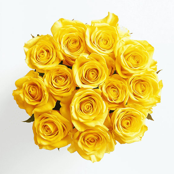 One Dozen Yellow Roses- Fresh Flower Delivery