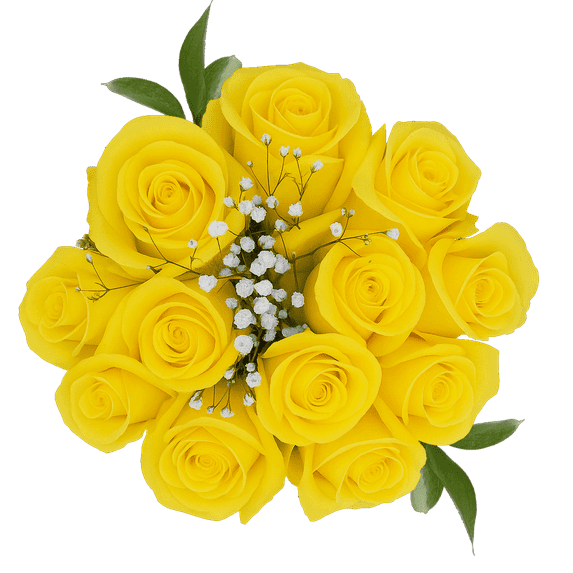 One Dozen Yellow Roses with Baby's breath and Green- Fresh Flower Delivery