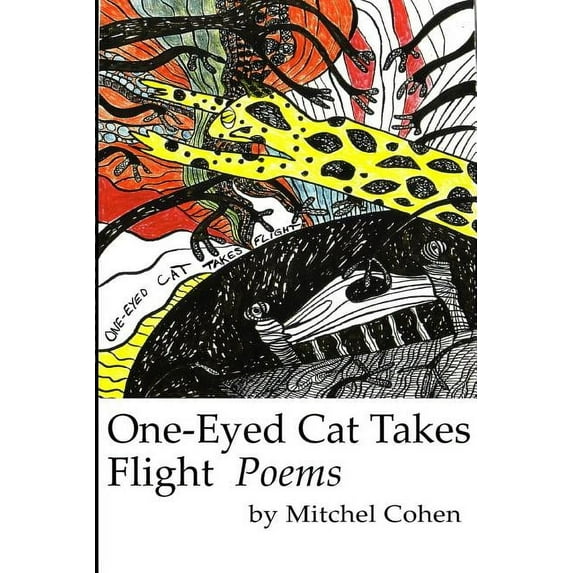 One-Eyed Cat Takes Flight, (Paperback)