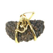 One Face Rudraksha Real Natural One Faced 1 mukhi Panchdhatu OM Pendant For success Wealth and Happiness