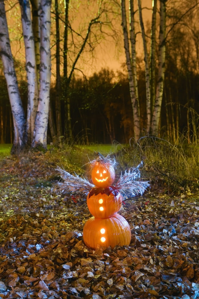 One Jack-O-Lantern Person Dressed As An Angel Standing In A Forest & Fallen Leaves On The Ground At Twilight During Fall In Anchorage Alaska Canvas Art - Kevin Smith Design Pics (11 x 17)