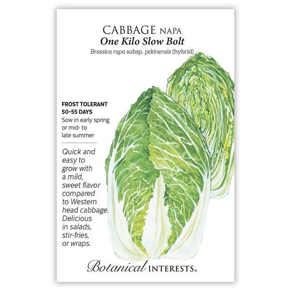 One Kilo Slow Bolt Chinese Cabbage Seeds - 250 mg