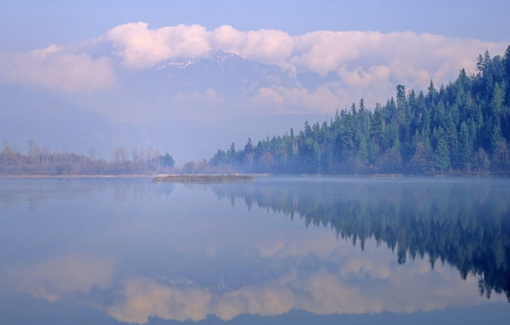 One Mile Lake Near Pemberton Bc In Early Morning Mist Canvas Art - Leanna Rathkelly Design Pics (34 x 22)