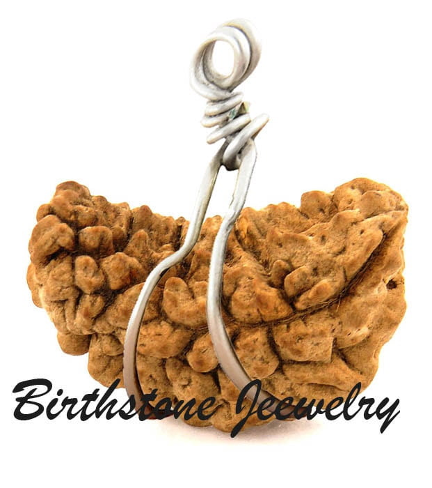 One Mukhi Kajudana Rudraksha 1 Mukhi Half Moon Rudraksha Pendant One ...