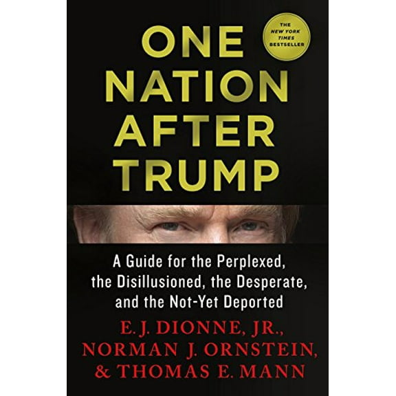 Pre-Owned One Nation after Trump : A Guide for the Perplexed, the Disillusioned, the Desperate, and the Not-Yet Deported (Hardcover) 9781250164056