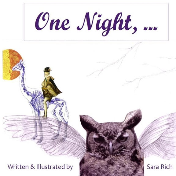 One Night Paperback 1495223809 9781495223808 Sara Rich