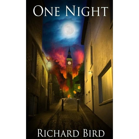One Night (Paperback)