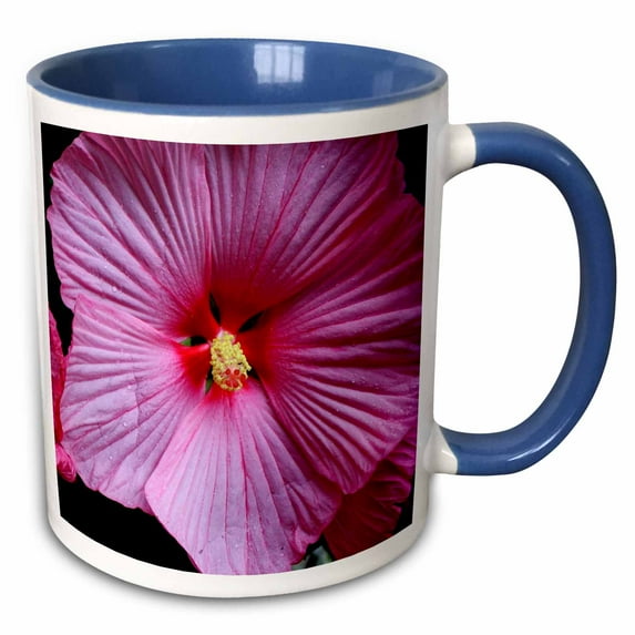 3drose, One of the Breathtaking Flowers Sold in the Flowermarts of Amsterdam, 11oz Two-tone Blue Mug