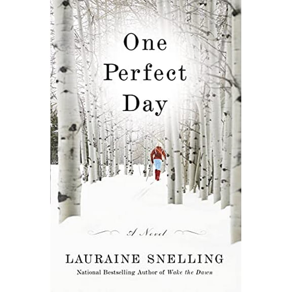 Pre-Owned One Perfect Day (Paperback) 0446582107 9780446582100